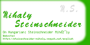 mihaly steinschneider business card